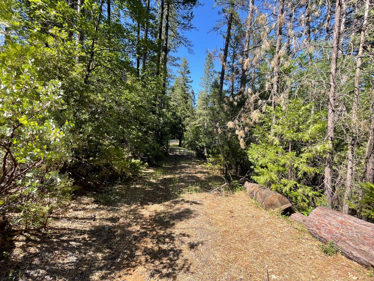 Magalia, CA 95954,6715 Hupp Coutolenc Rd