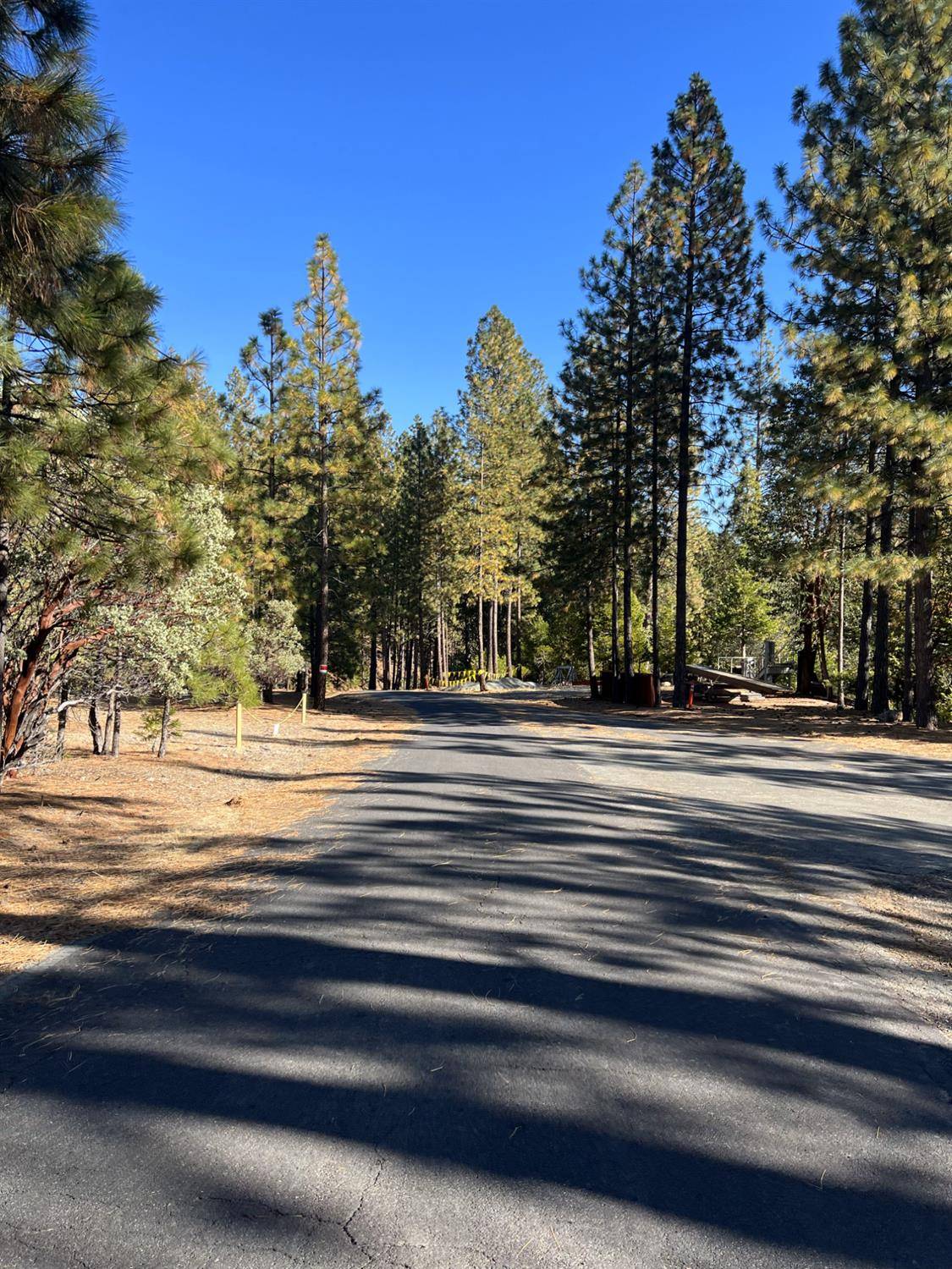 Volcano, CA 95689,25594 Overland DR