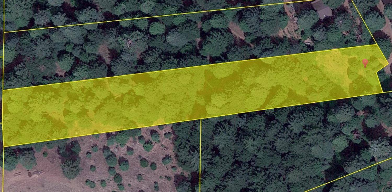 Pollock Pines, CA 95726,1 Stacy LN