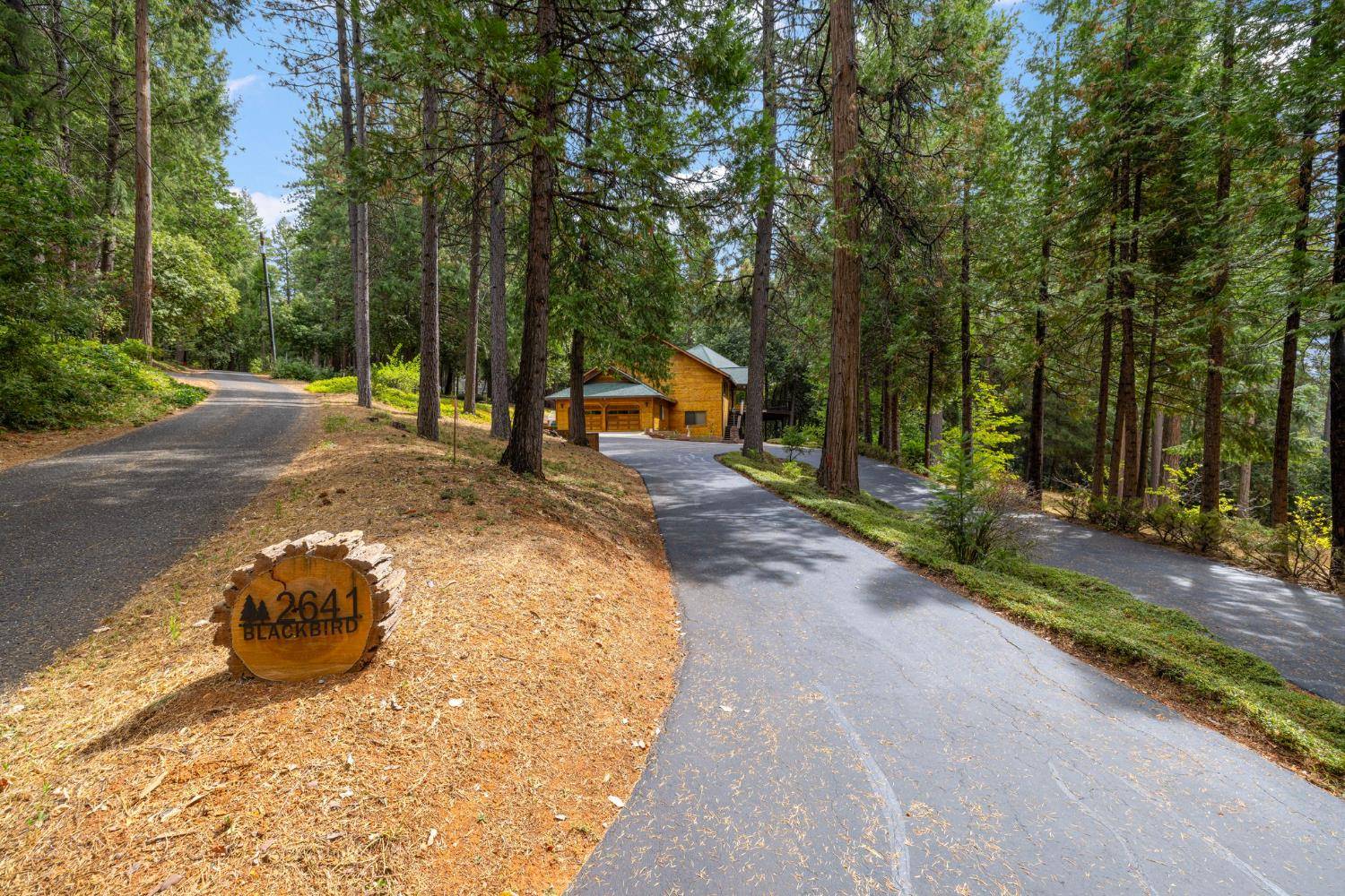 Camino, CA 95709,2641 Blackbird LN