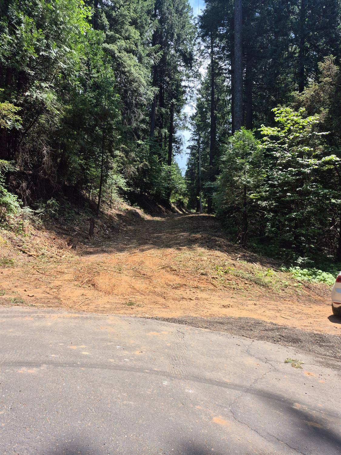 Pollock Pines, CA 95726,0 Mill Run