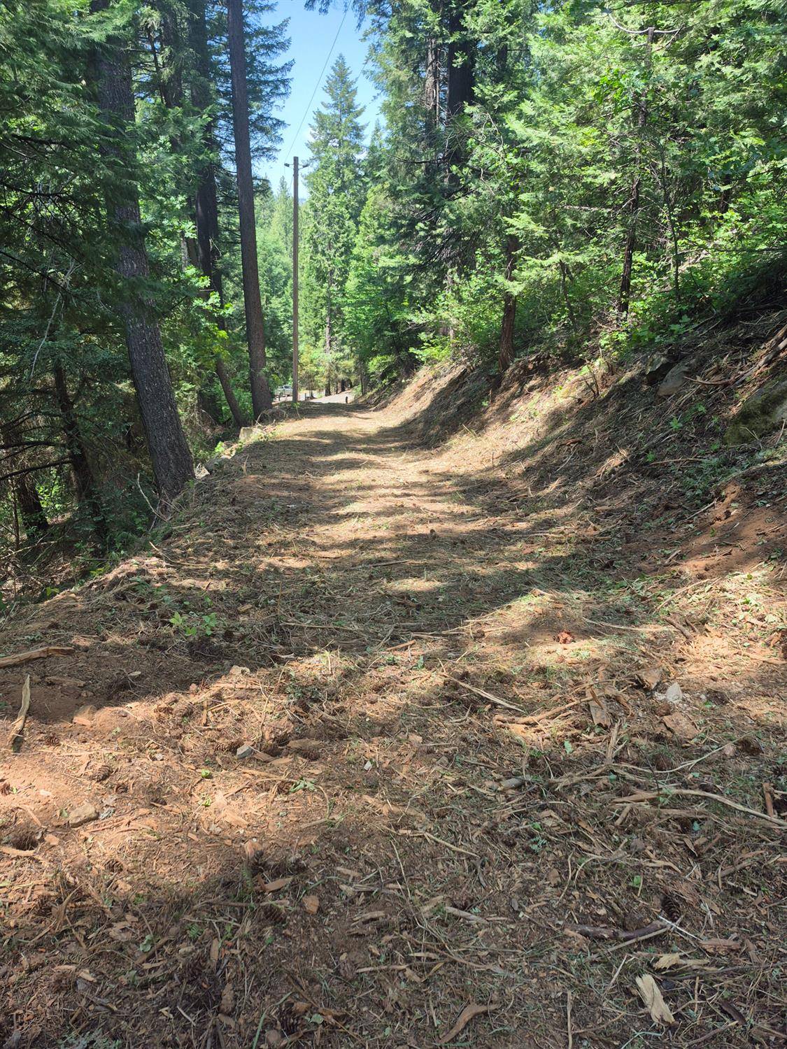 Pollock Pines, CA 95726,0 Mill Run