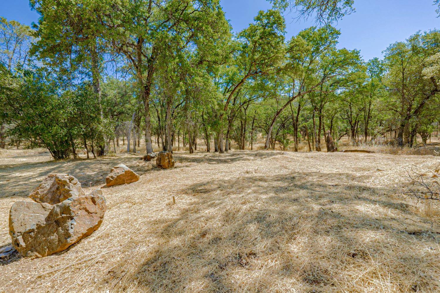 Auburn, CA 95602,12828 Masters CT