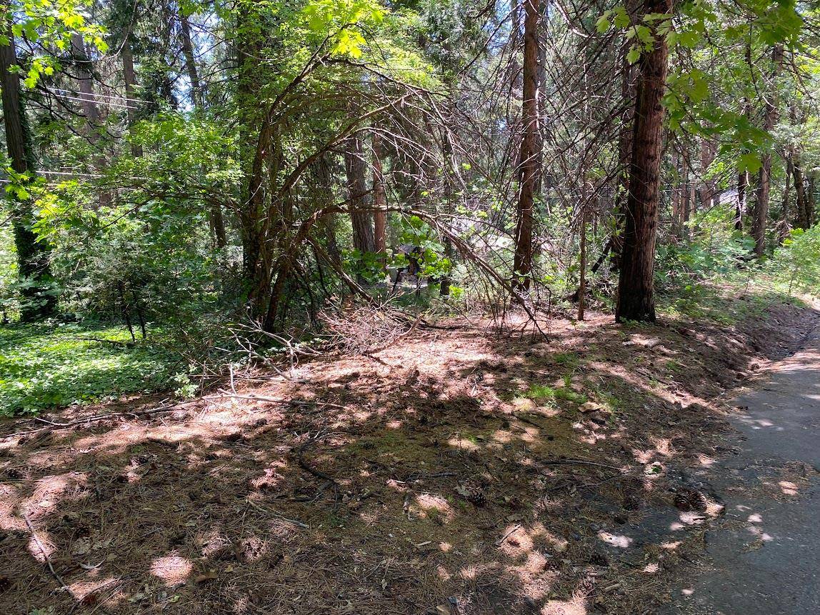 Pollock Pines, CA 95726,3045 Midway AVE