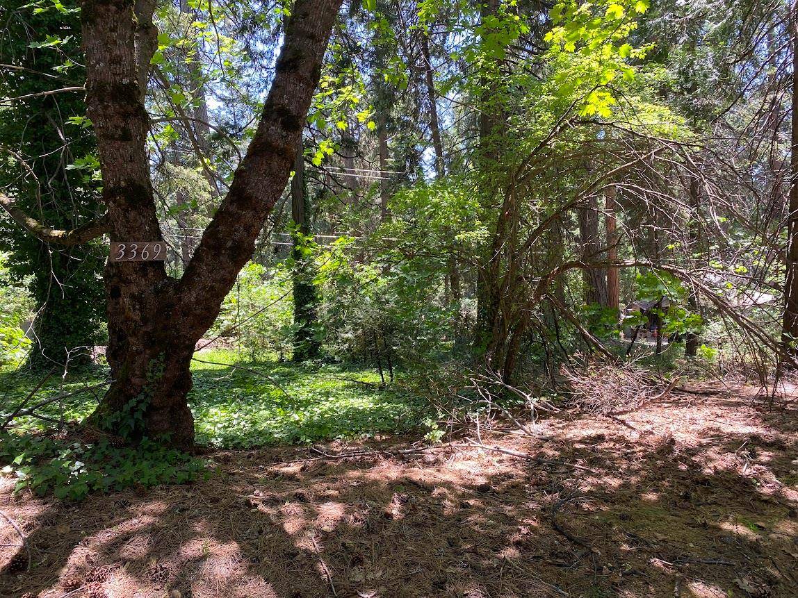 Pollock Pines, CA 95726,3045 Midway AVE