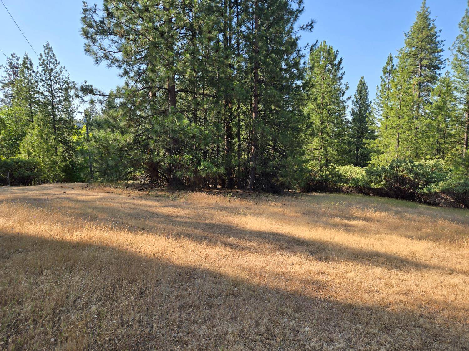 Placerville, CA 95667,2.5 ac Sly Park RD