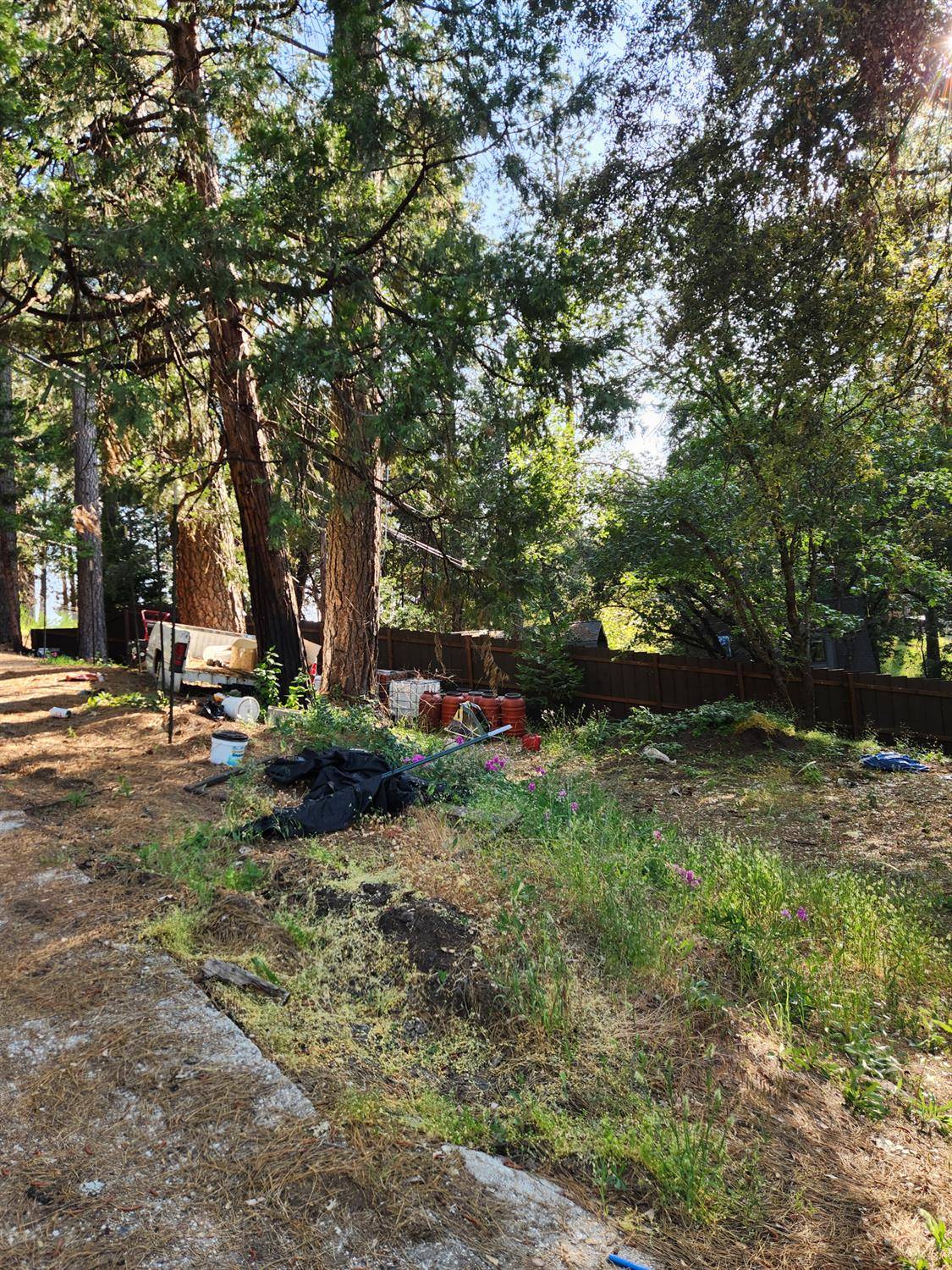 Nevada City, CA 95959,10638 N Bloomfield RD