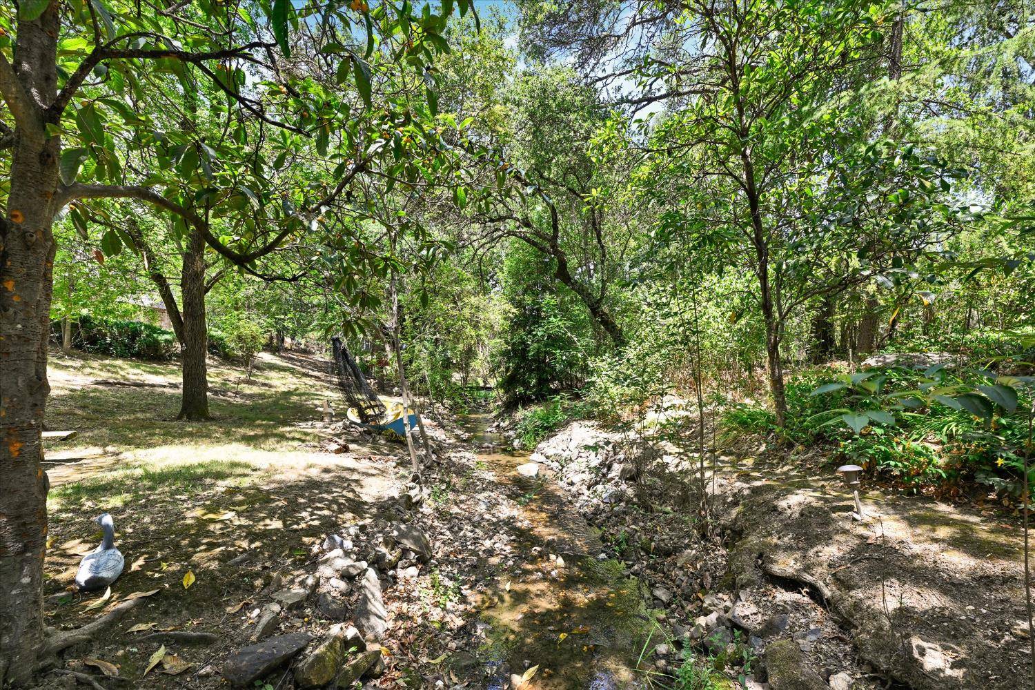 Newcastle, CA 95658,800 Lozanos RD