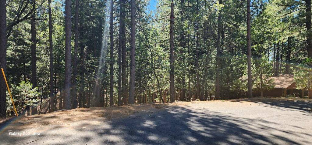 Pollock Pines, CA 95726,5701 Lupin LN