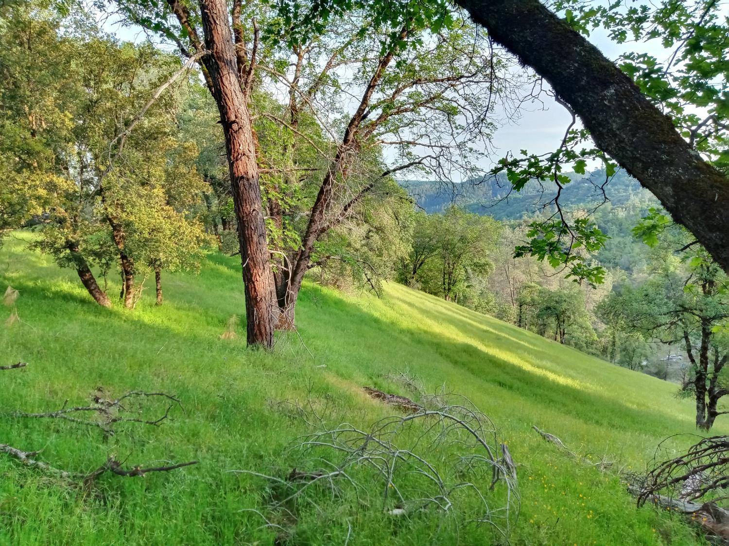 Grass Valley, CA 95949,12274 Kenneth CT