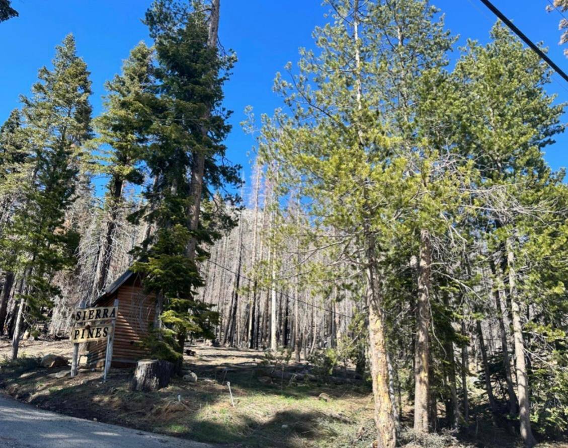 Twin Bridges, CA 95735,7177 Sierra Pines RD