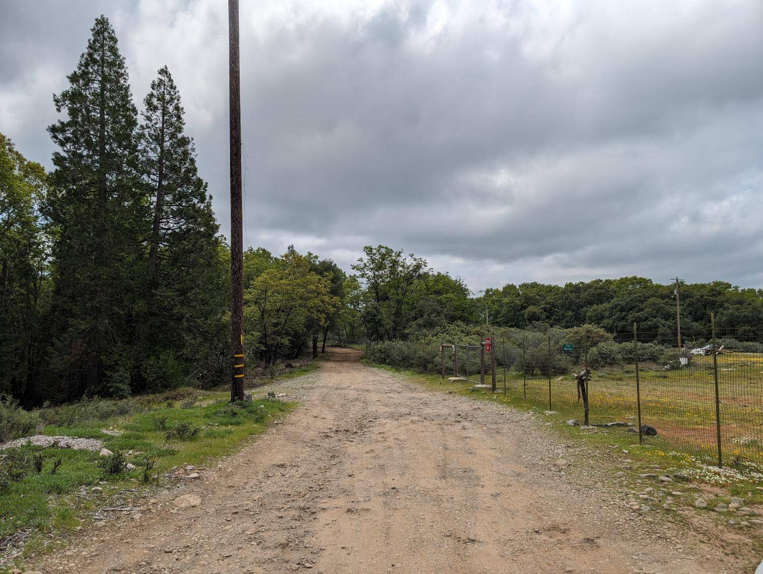 Grass Valley, CA 95945,16805 Jones Ridge RD