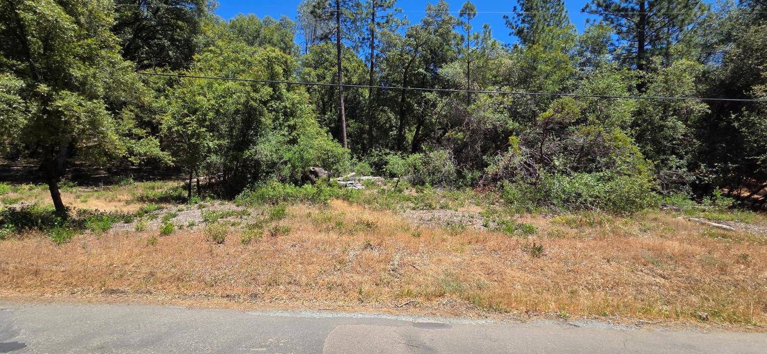 El Dorado, CA 95623,0 Freshwater LN