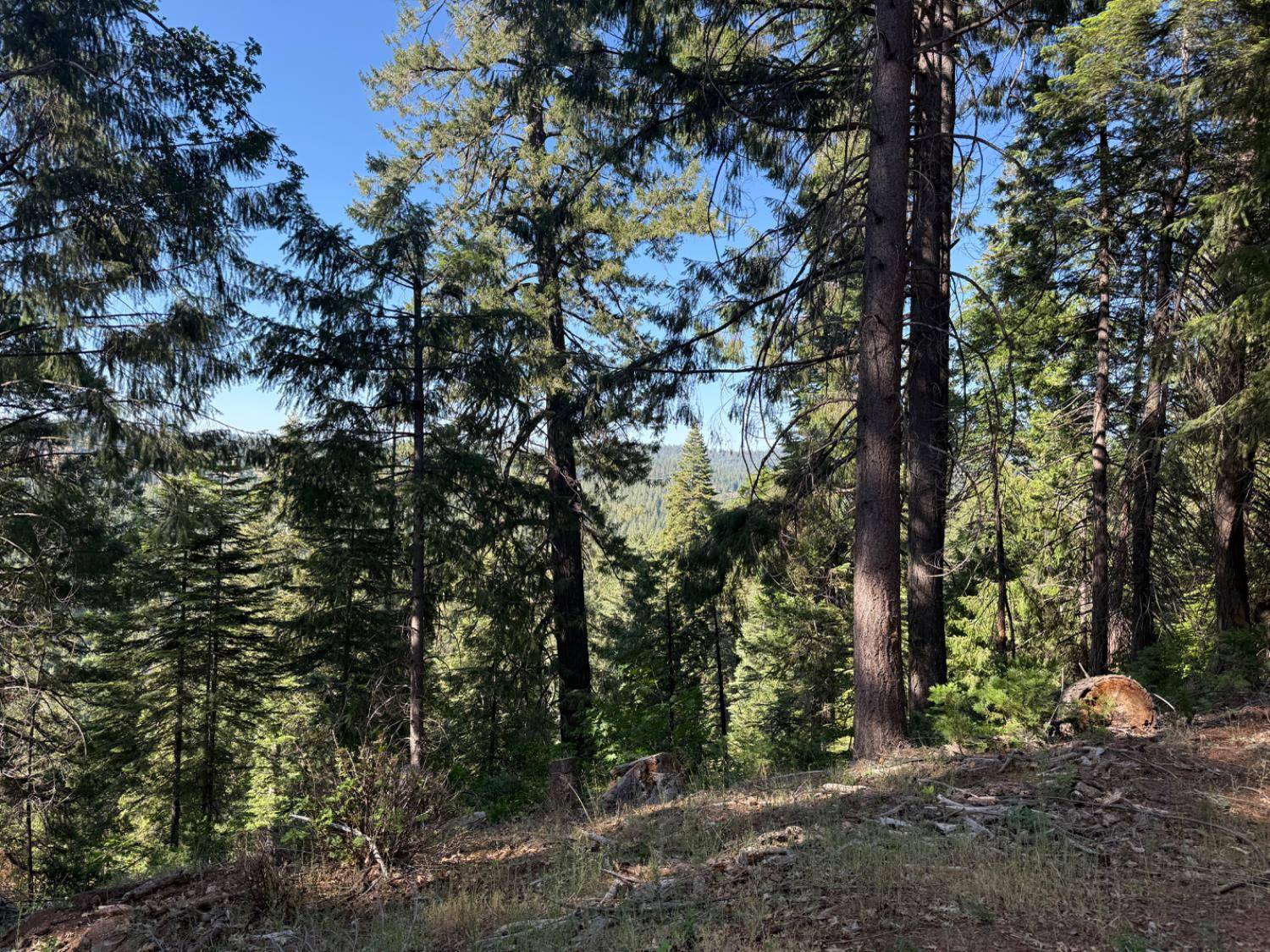 Pioneer, CA 95666,28087 Rolling Hills RD