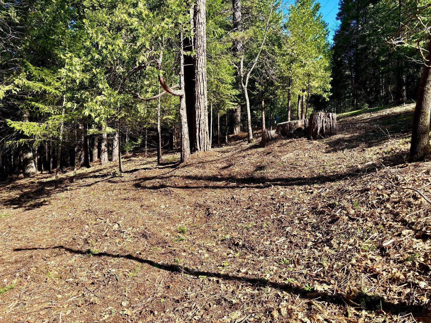 Pollock Pines, CA 95726,0 Park Woods DR
