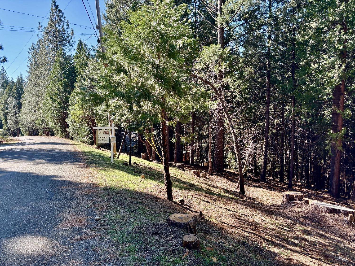 Pollock Pines, CA 95726,0 Park Woods DR