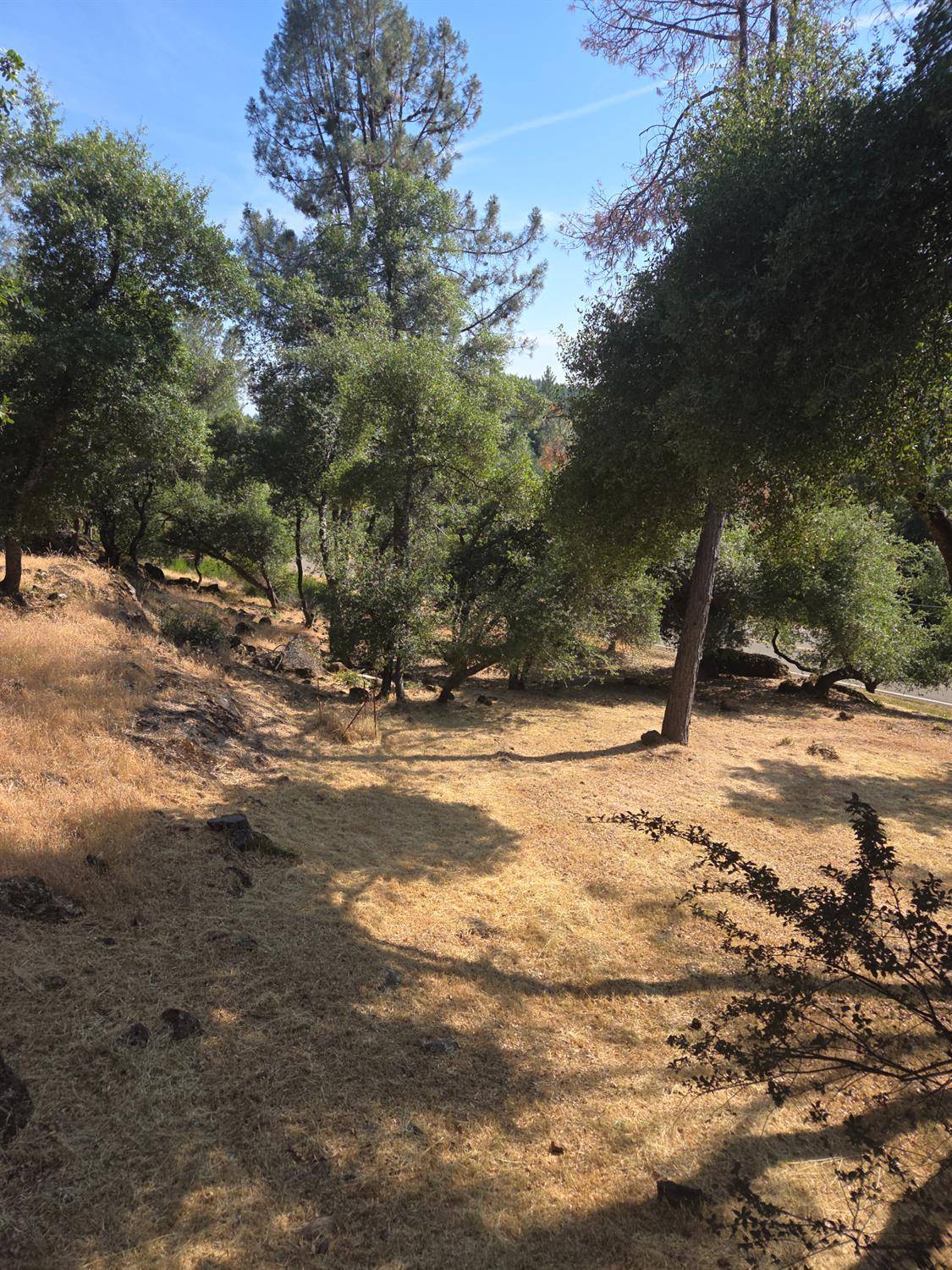 Grass Valley, CA 95949,19215 Norlene WAY