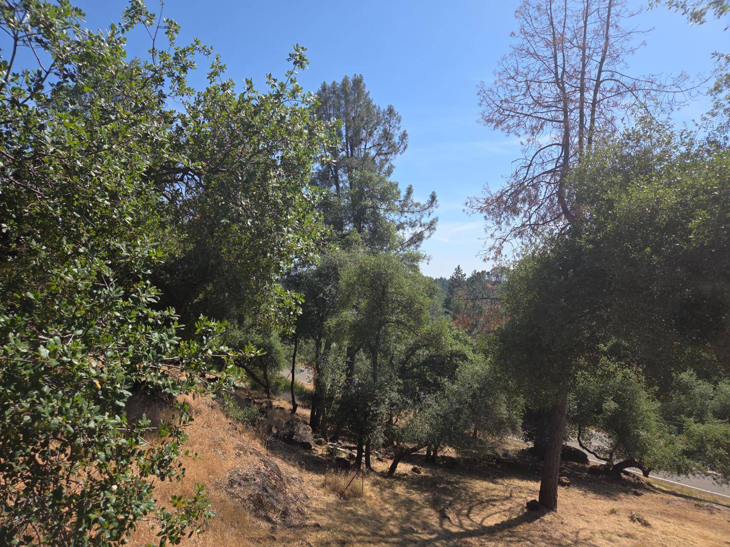 Grass Valley, CA 95949,19215 Norlene WAY