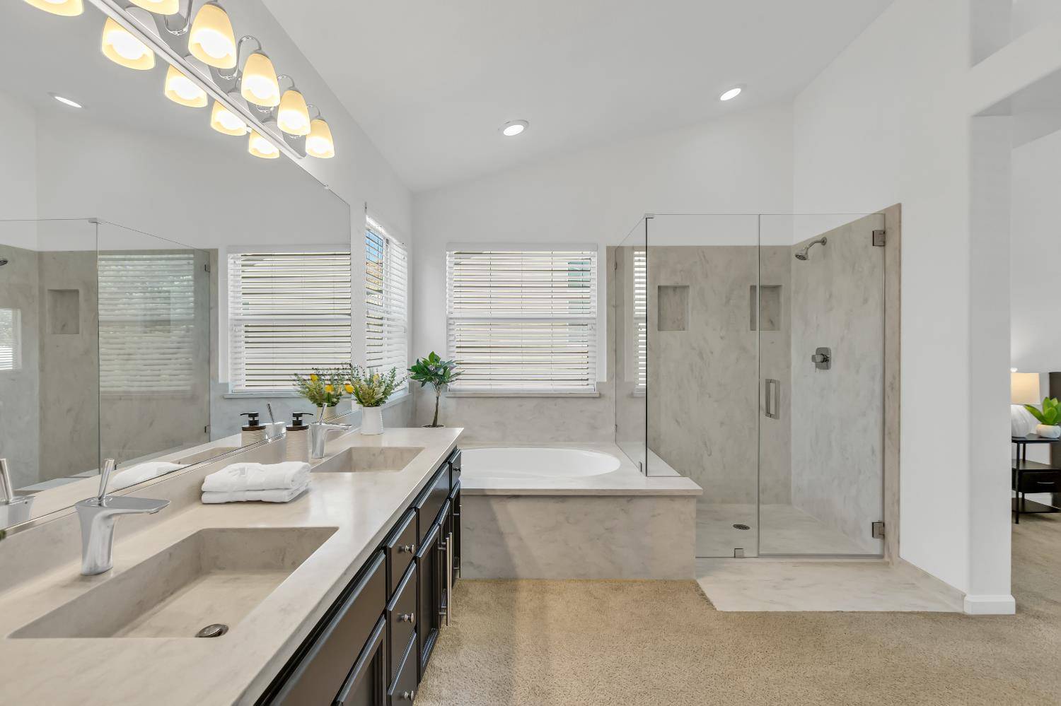 Elk Grove, CA 95624,8746 SHASTA LILY DR