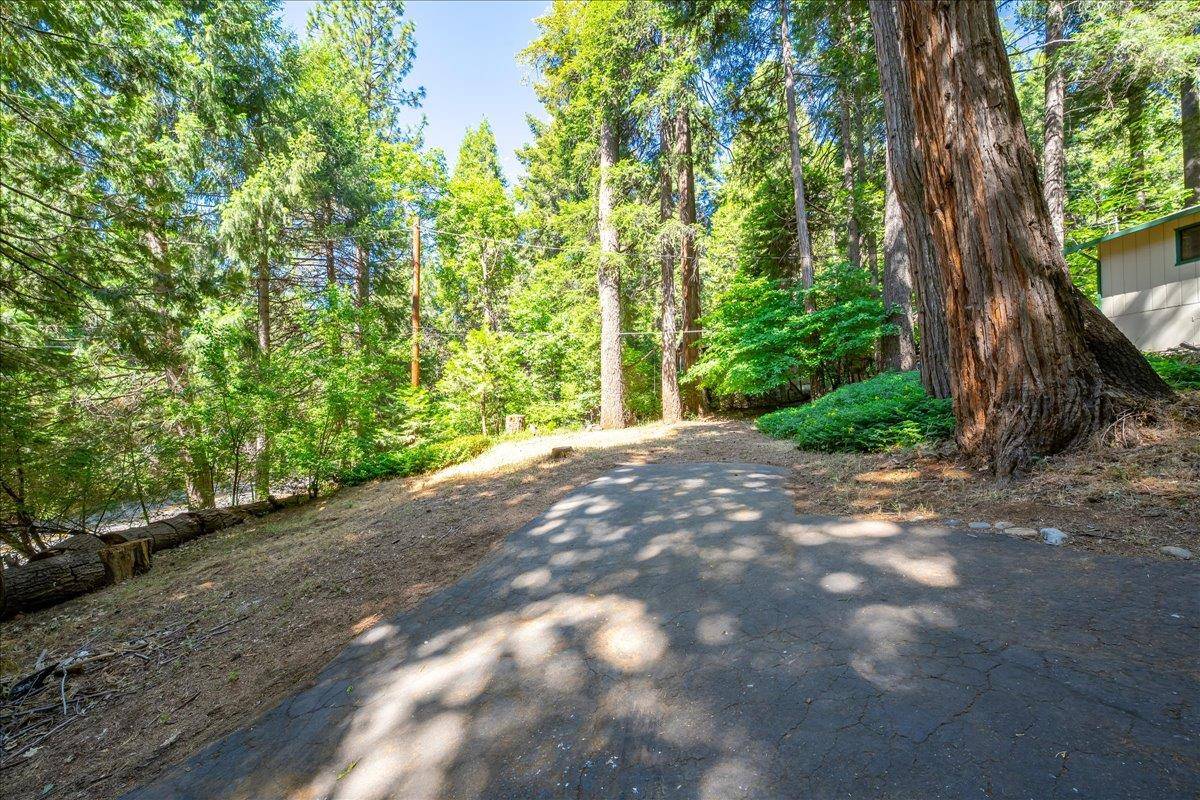 Pollock Pines, CA 95726,3209 Amber TRL