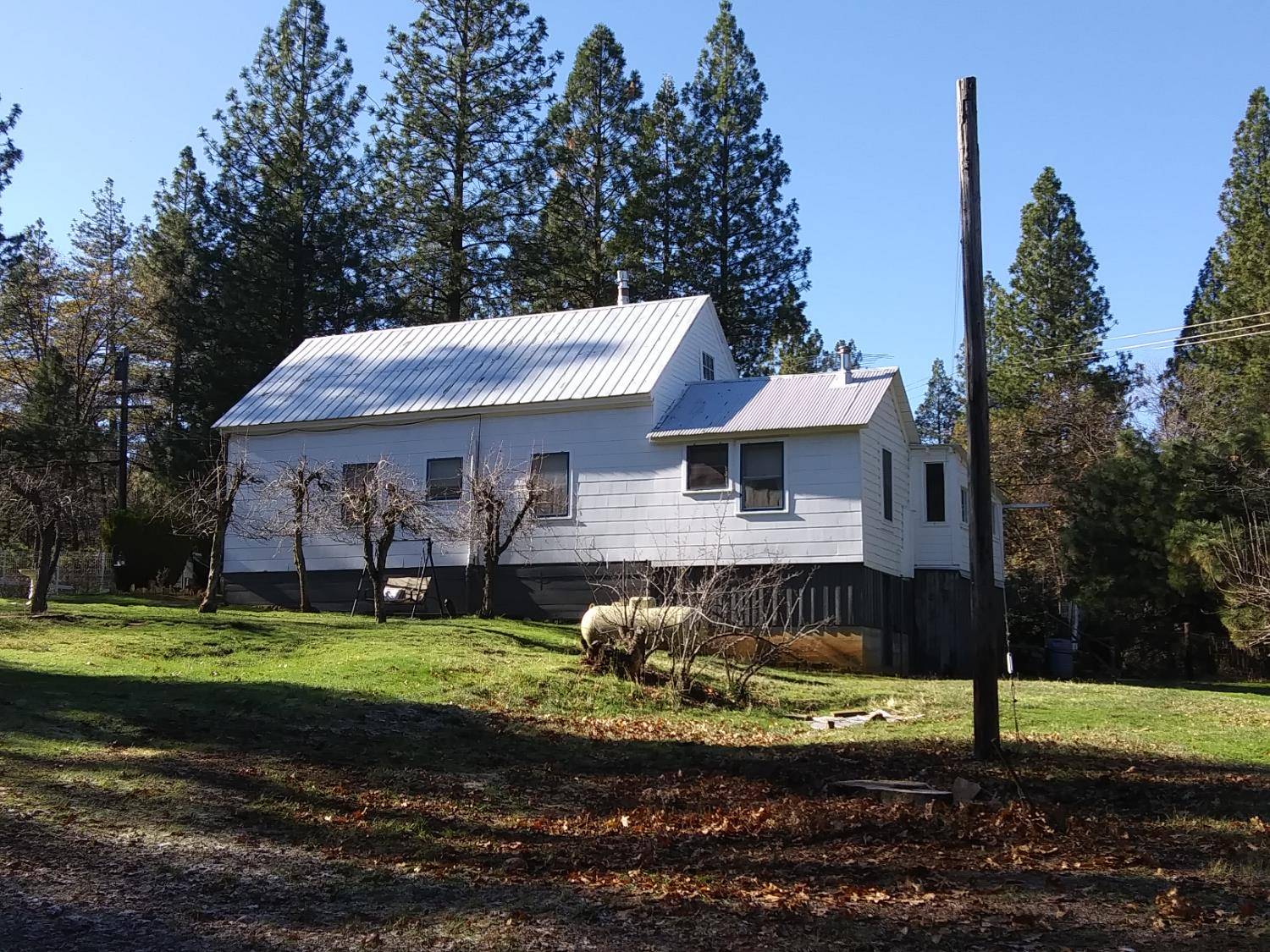 Gold Run, CA 95717,27 Main ST