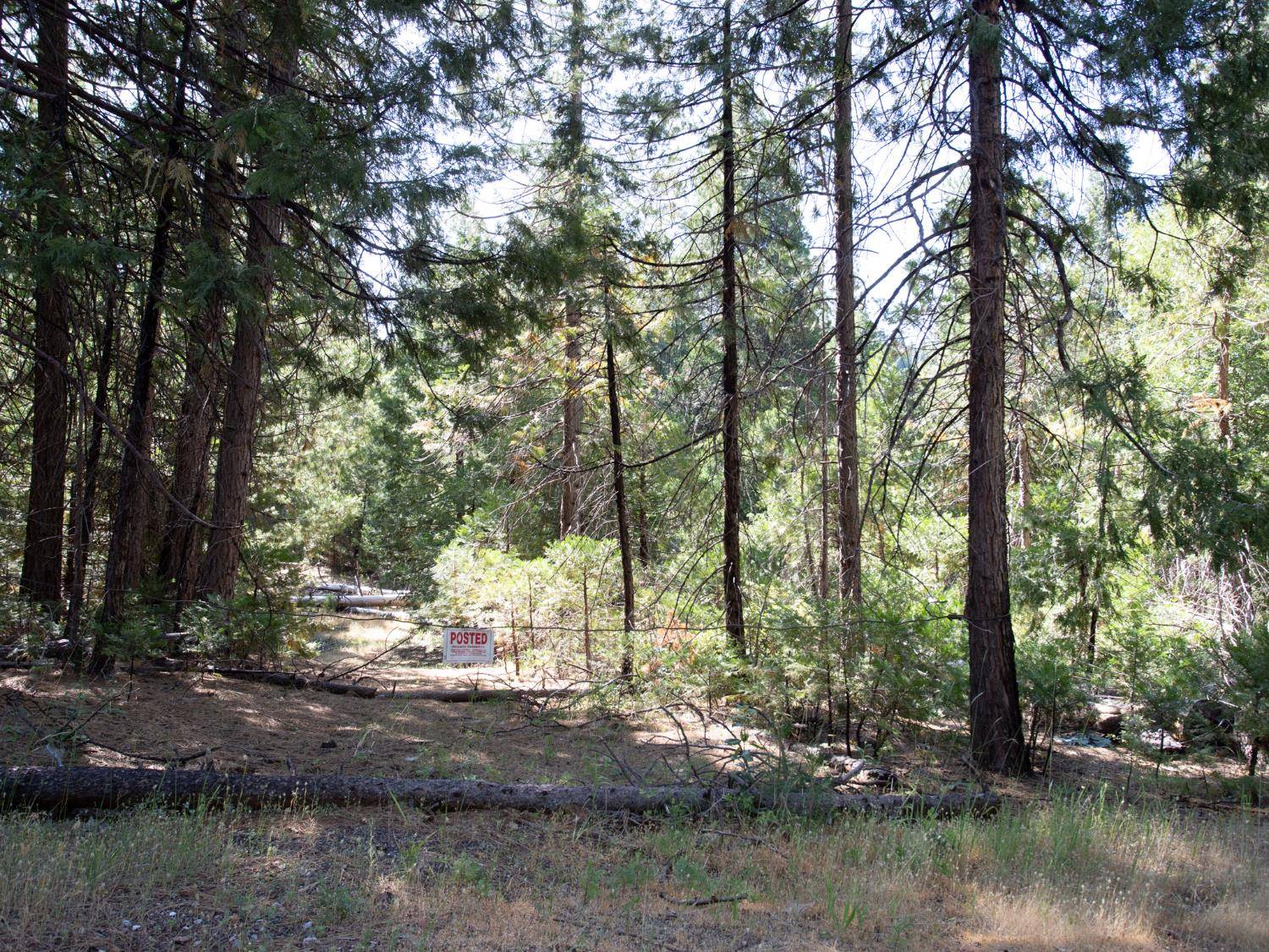 Pioneer, CA 95666,0 Cedar Court