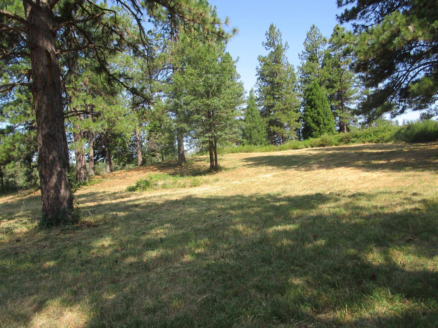 Grass Valley, CA 95945,17778 Lower Colfax RD