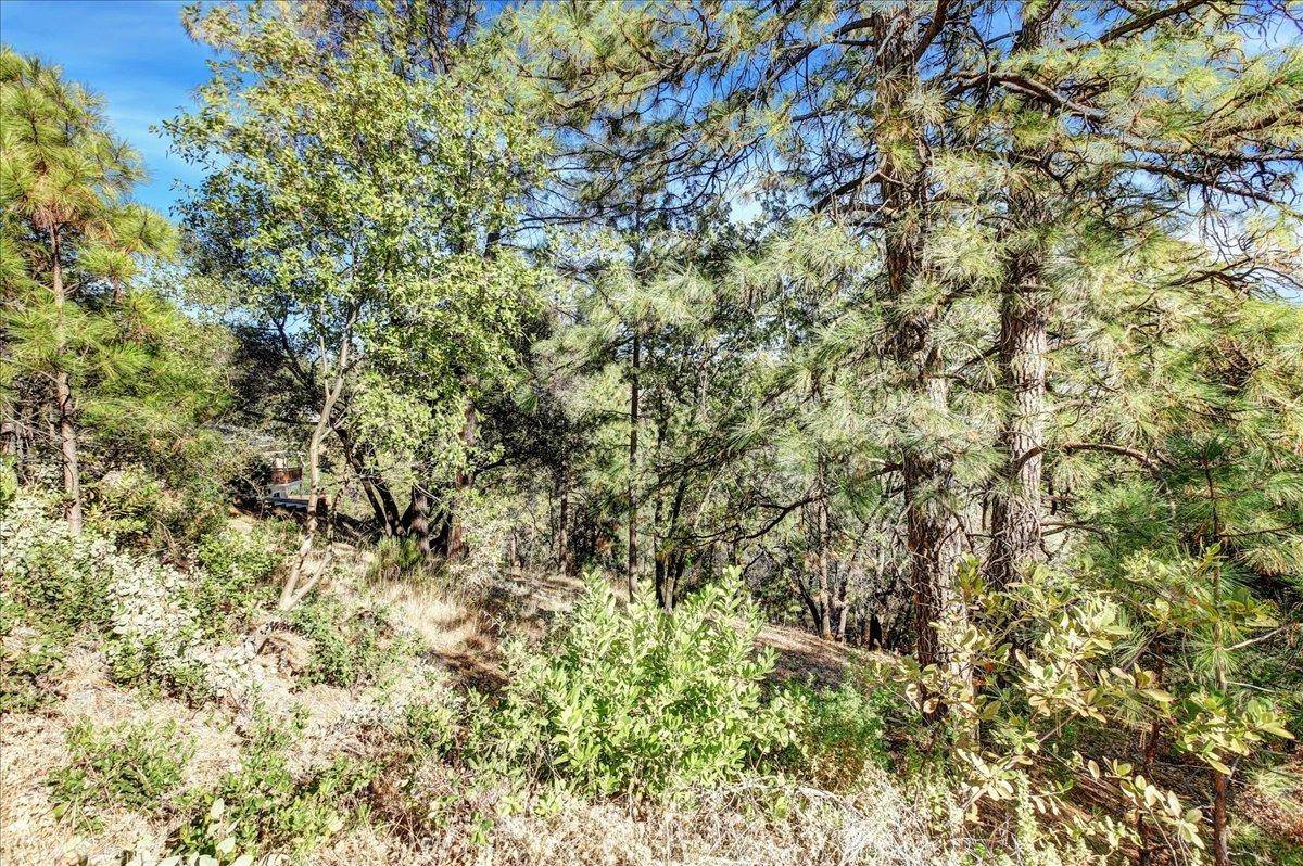 Grass Valley, CA 95949,16428 Patricia WAY