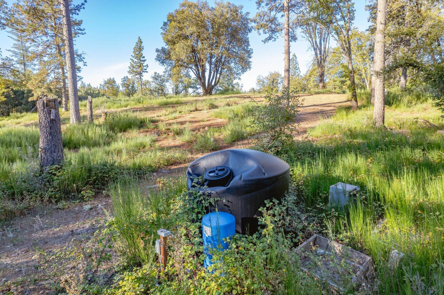 Garden Valley, CA 95633,4920 Kelley PL