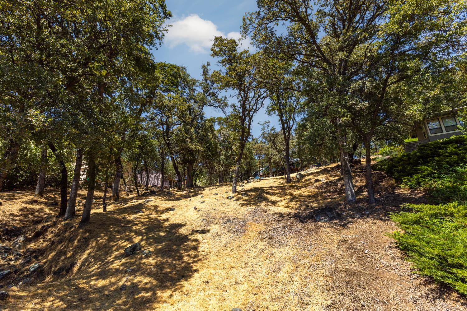 Penn Valley, CA 95946,13843 Sun Forest DR