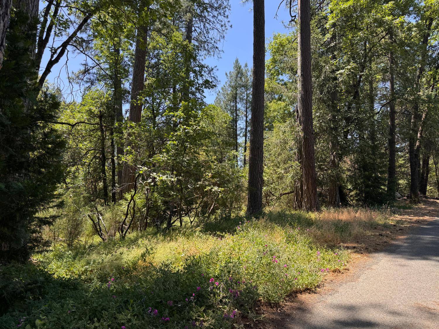Colfax, CA 95713,0 Green Acres RD