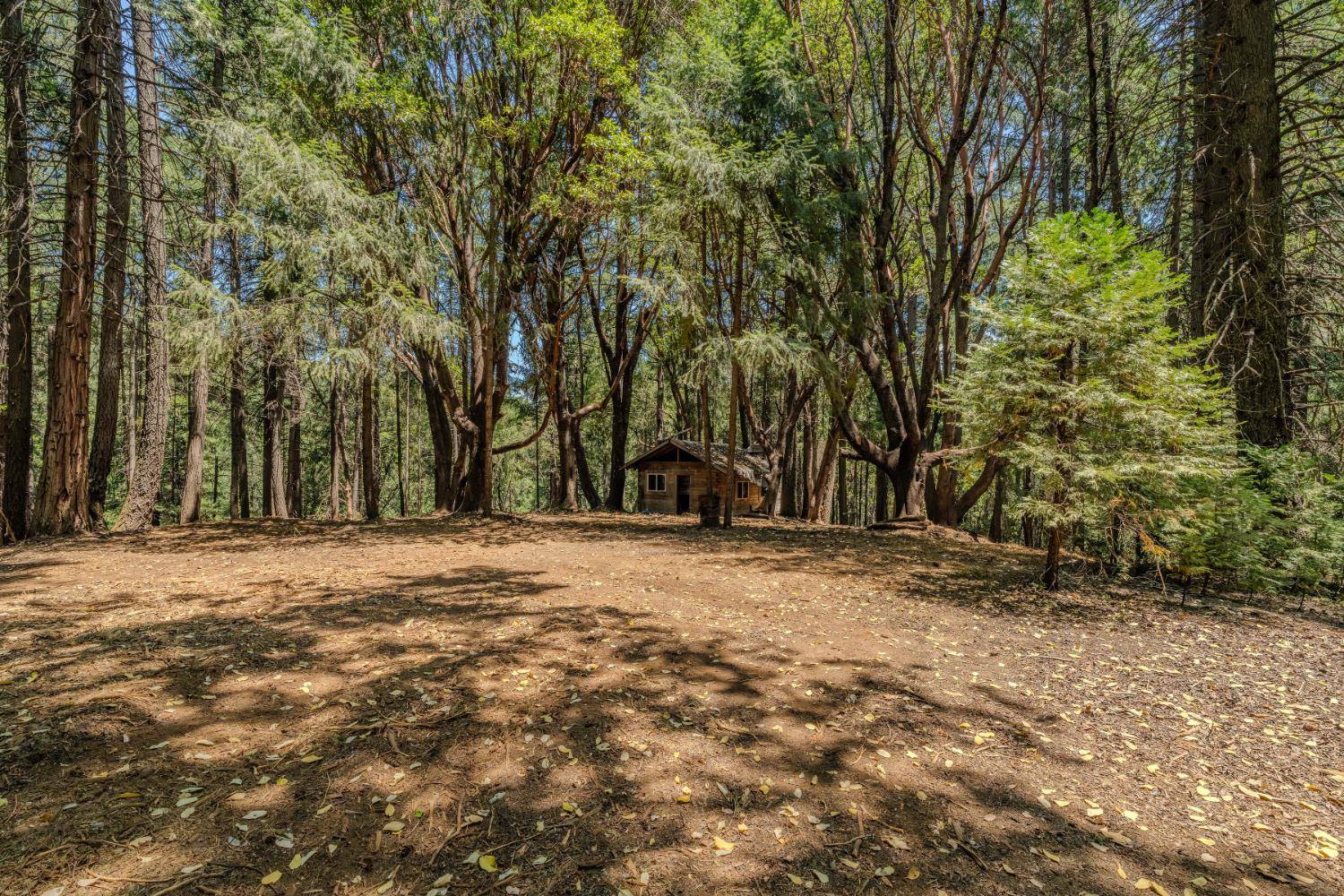 Pioneer, CA 95666,18748 Lancelot LN
