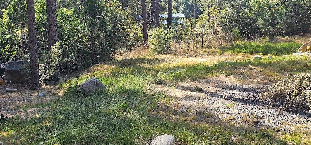 Foresthill, CA 95631,21819 Todd Valley RD