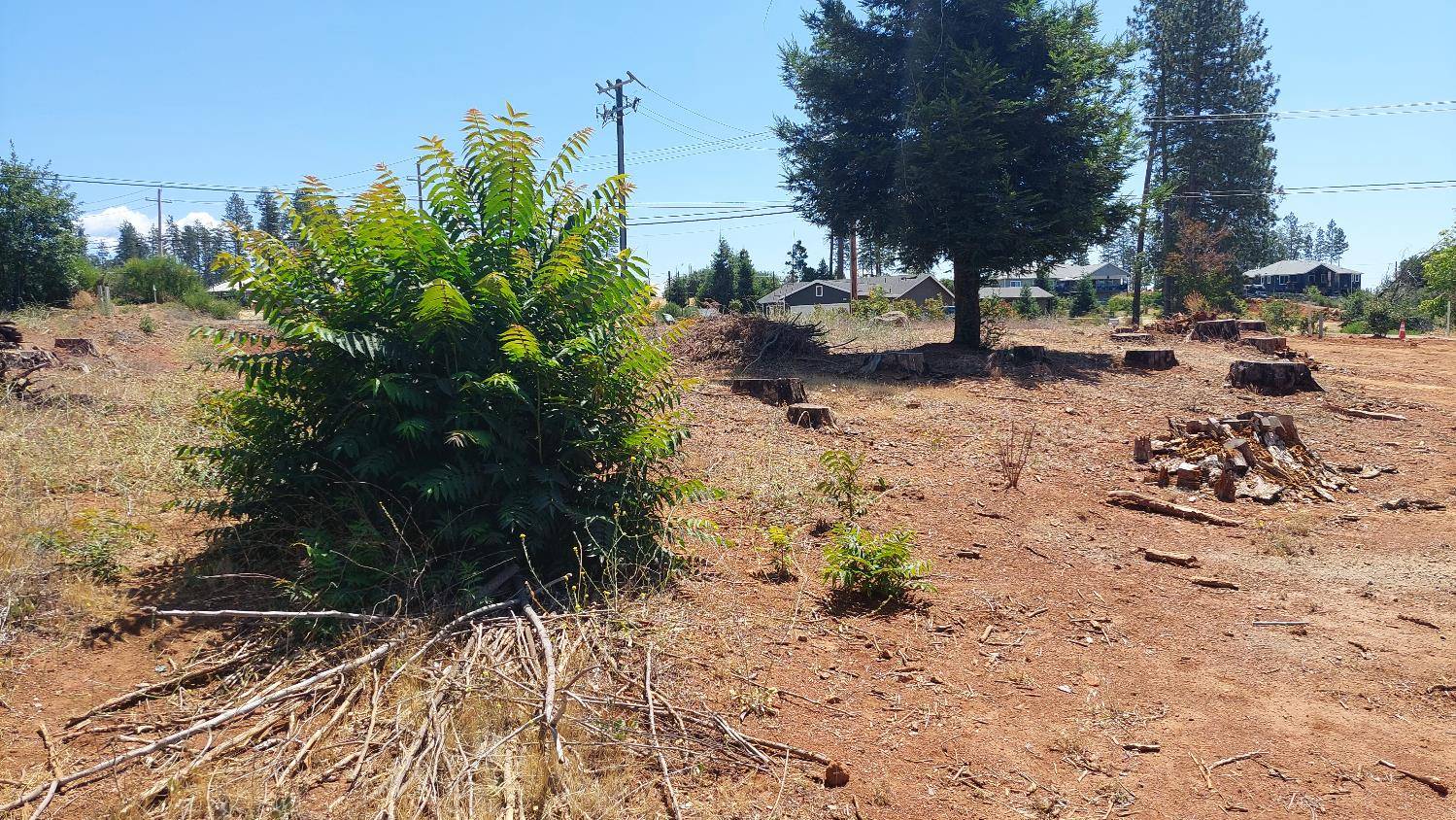 Paradise, CA 95969,8645 Skyway