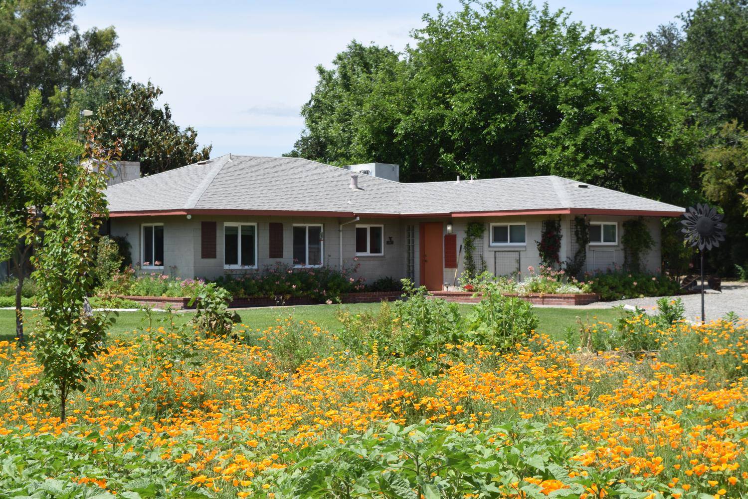 Davis, CA 95616,26738 County Road 98