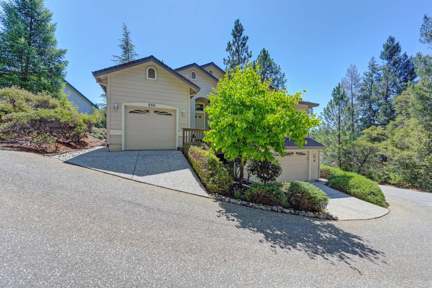 Colfax, CA 95713,250 Canyon Creek CIR