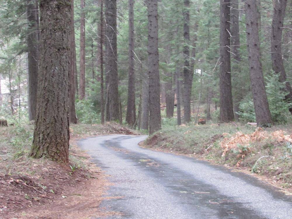 Nevada City, CA 95959,13685 Idaho Maryland RD