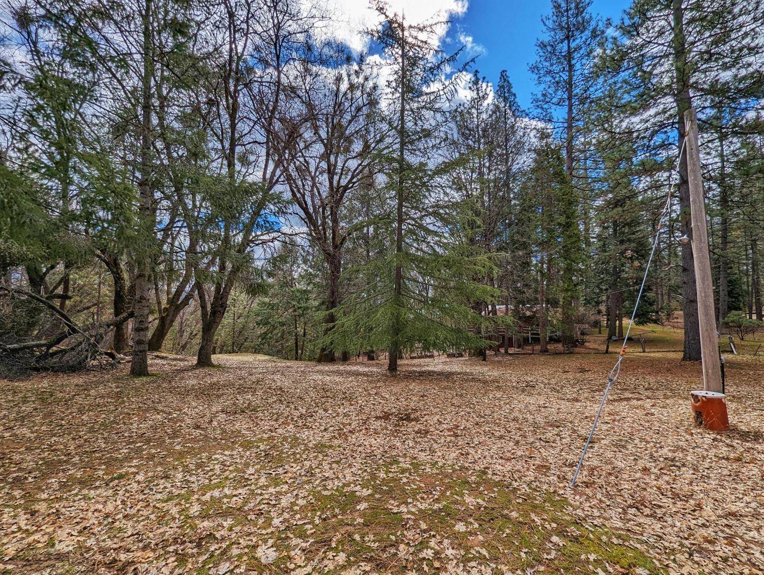 Wilseyville, CA 95257,3808 Hewett LN