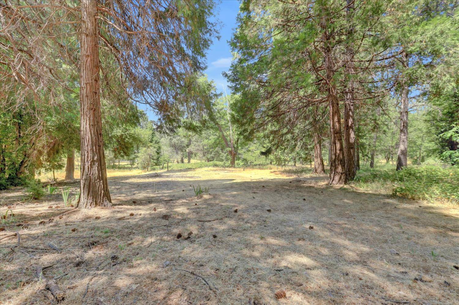 Grass Valley, CA 95945,10973 Rough And Ready HWY