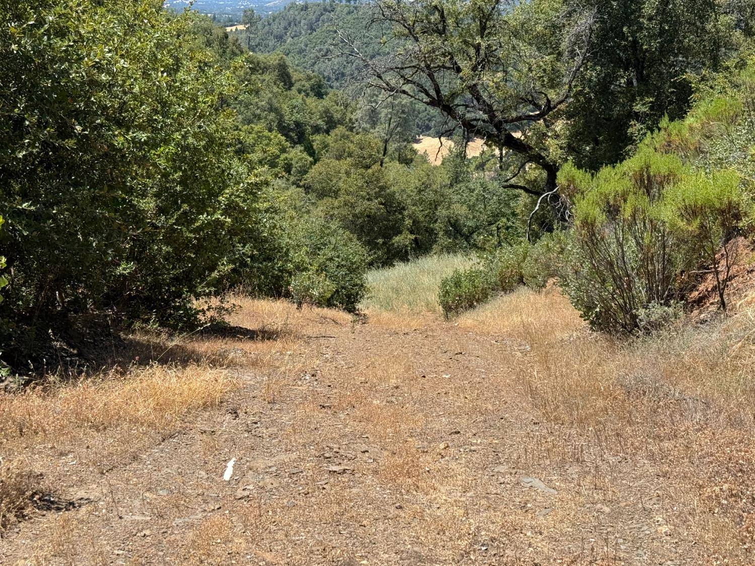 Murphys, CA 95247,5068 Pappalardo Promenade