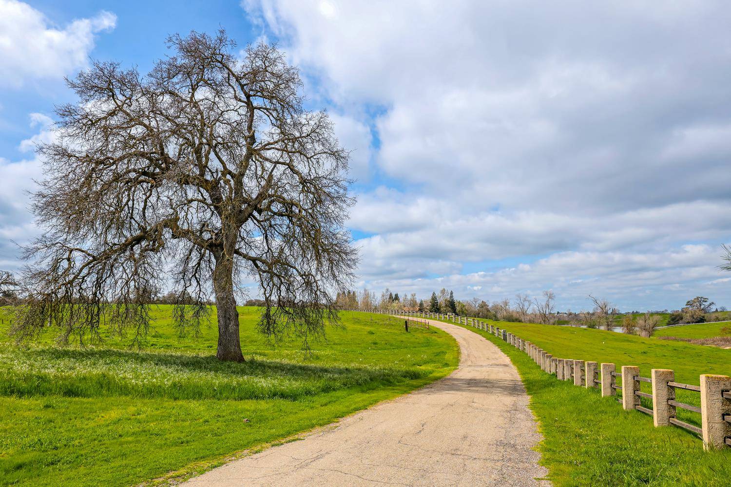 Clements, CA 95227,24943 N McIntire Road
