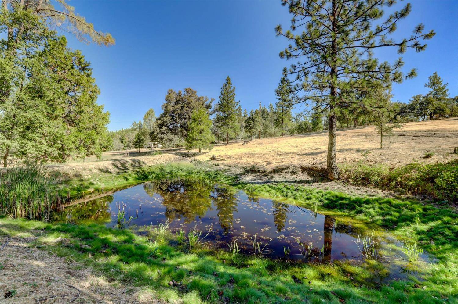 Grass Valley, CA 95949,11855 Conejo CT