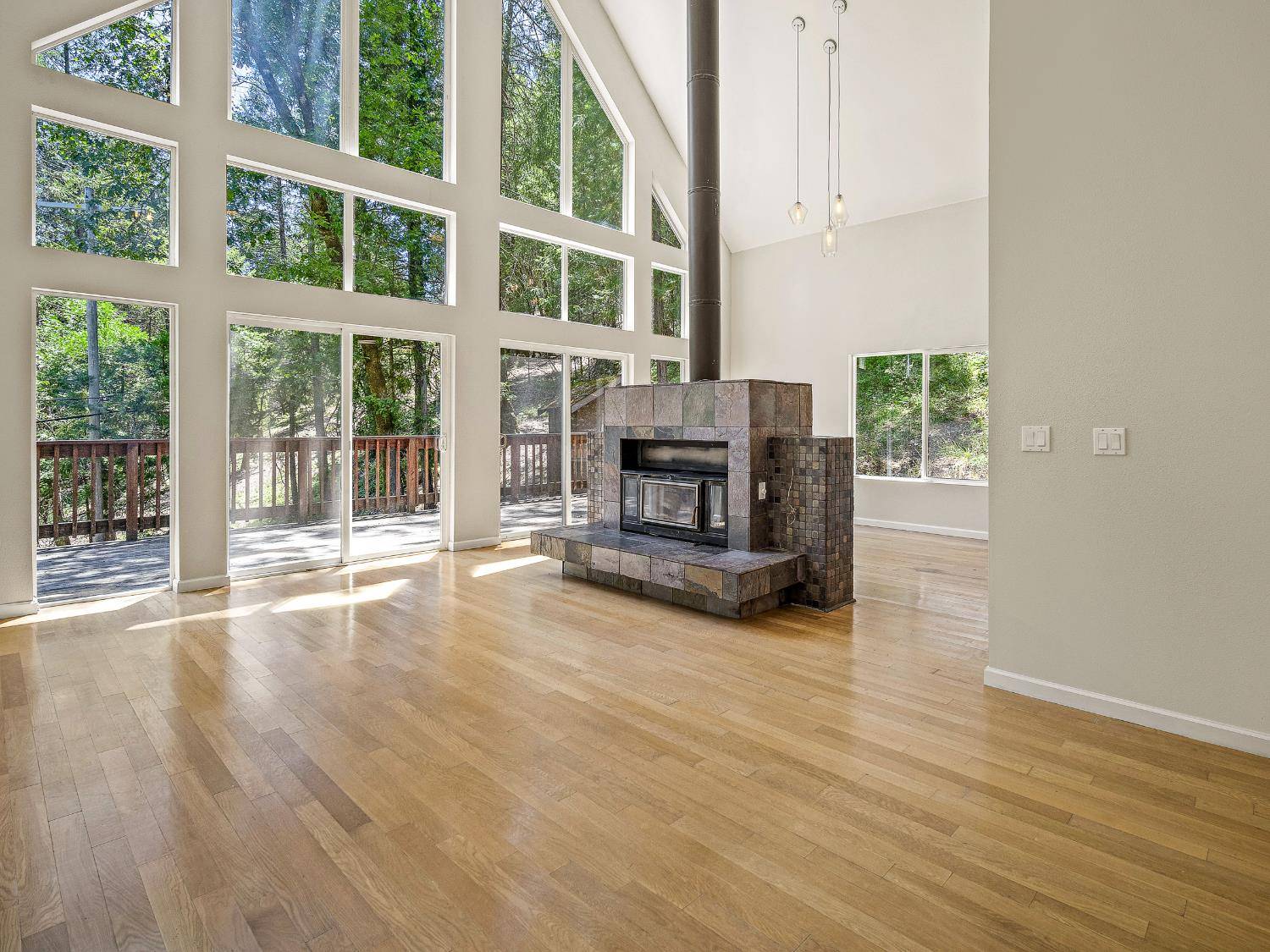 Placerville, CA 95667,1932 Tecolote DR