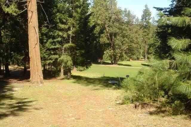 Pioneer, CA 95666,26441 Golf Links DR