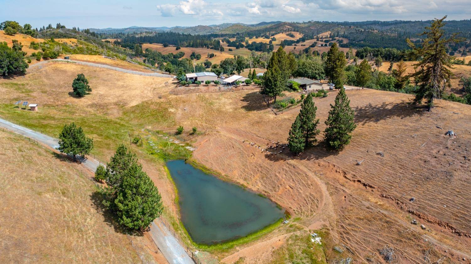 Mountain Ranch, CA 95249,7279 Mountain Ranch