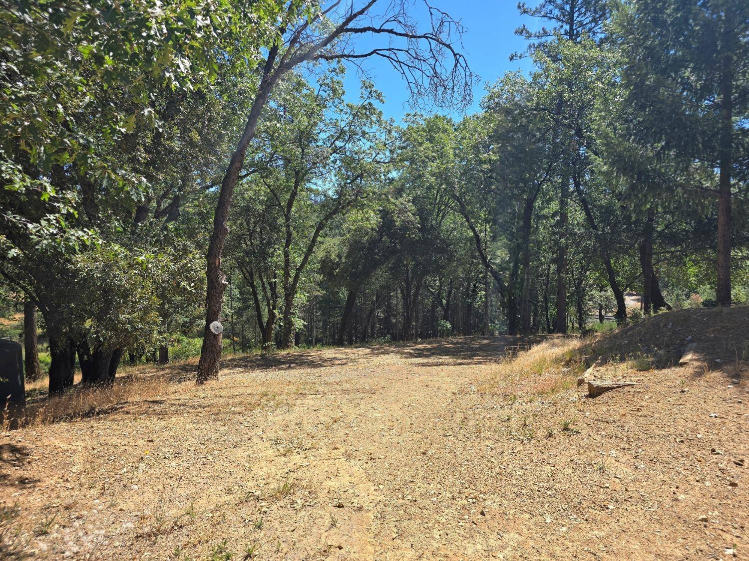 Colfax, CA 95713,25840 Rollins Lake RD