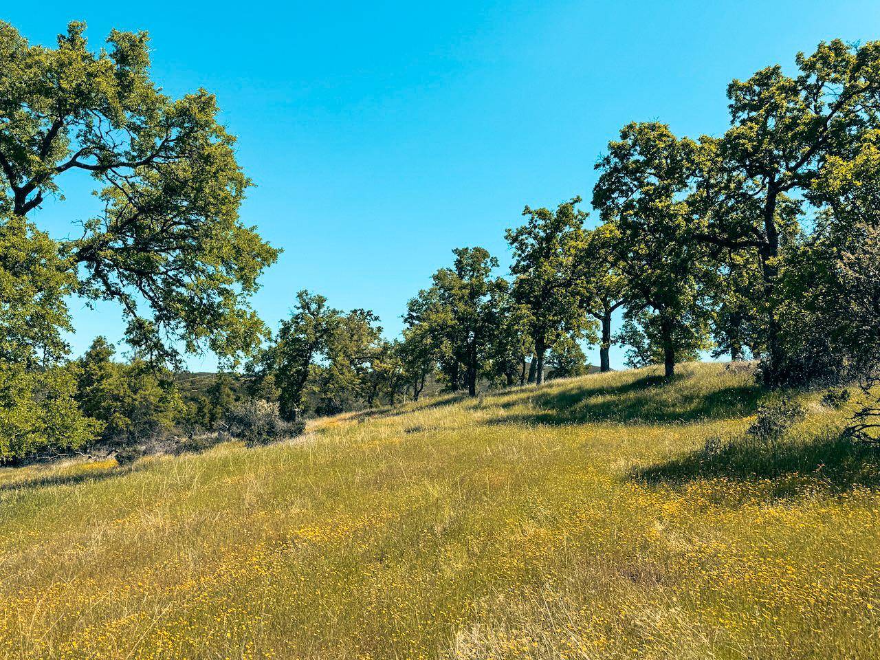 Mountain Ranch, CA 95246,7300 Miller Ranch RD