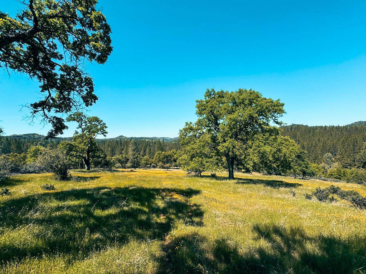 Mountain Ranch, CA 95246,7300 Miller Ranch RD