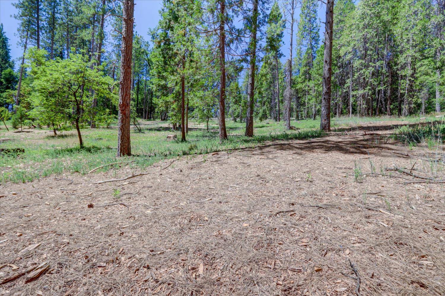 Grass Valley, CA 95945,262 W Olympia DR