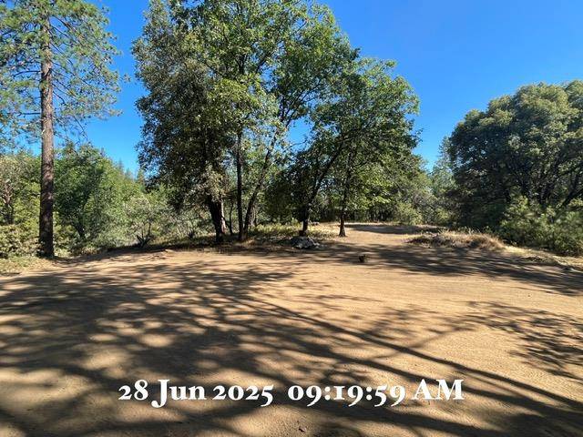 Colfax, CA 95713,0 Carpenter RD
